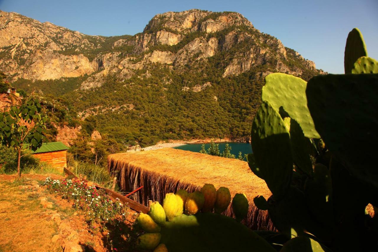 Hotel Cosmos Lounge Fethiye Zewnętrze zdjęcie